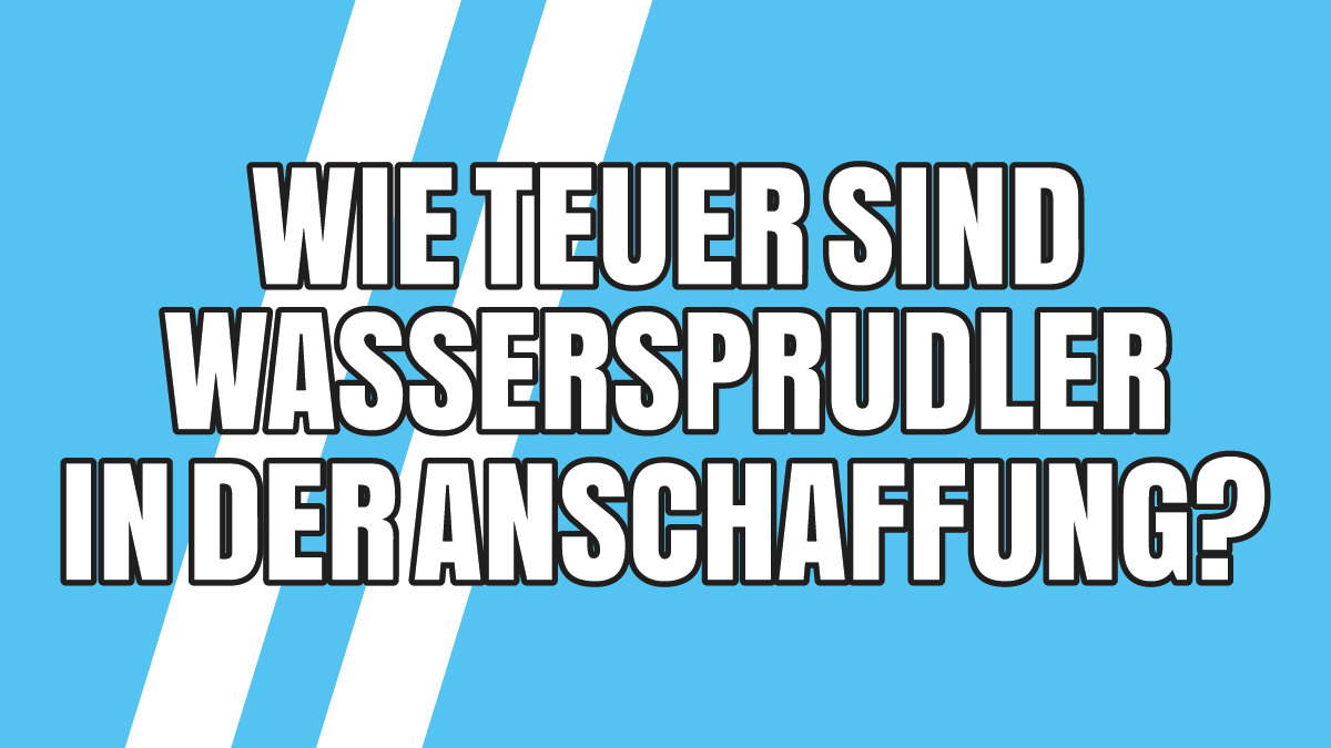 Wie teuer sind Wassersprudler in der Anschaffung?