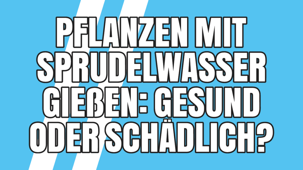 Pflanzen mit Sprudelwasser gießen Gesund oder Schädlich?